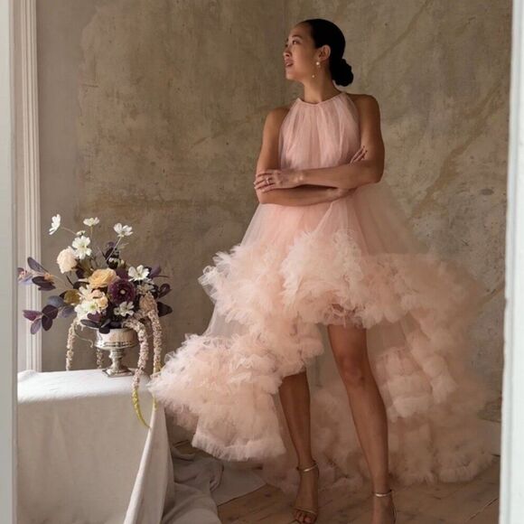 Mac Duggal Dresses & Skirts - MAC DUGGAL 68252 Light Pink Tulle High Neck Sleeveless Ruffled Hem Hi-Low Gown